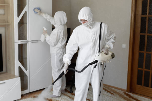 Best Residential Mold Removal  in Circleville, OH