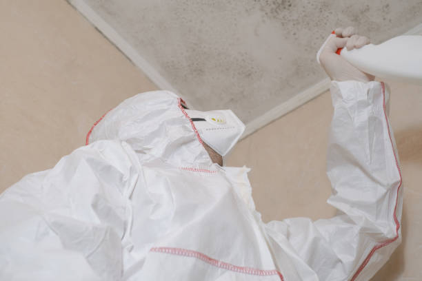 Best Mold Cleaning Services  in Circleville, OH