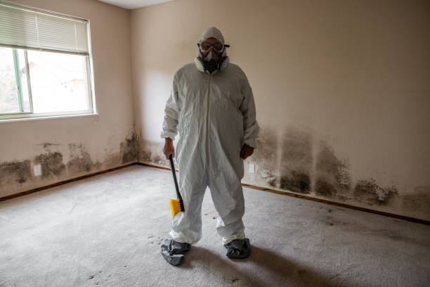 Best Residential Mold Removal  in Circleville, OH